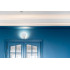 WT3 WALLSTYL Modanatura da soffitto Polistirolo HD Noël & Marquet 80 x 110 x 2000 - 1 pezzo